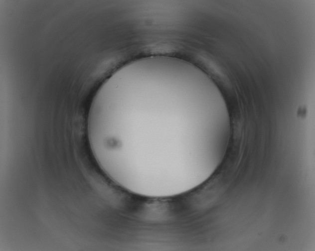 X0000092280362200709281250