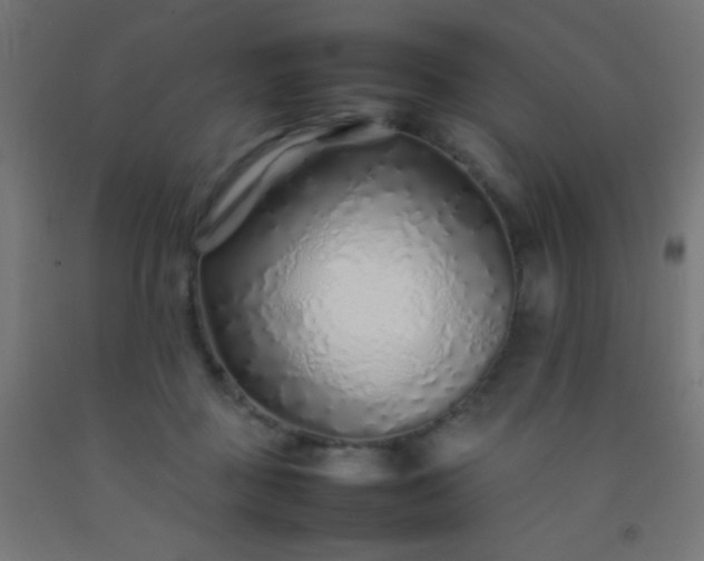 X0000092280363200709281250