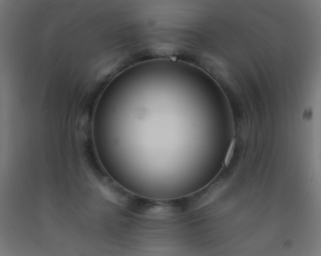 X0000092280364200709281250