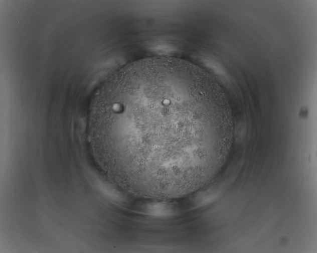 X0000092280365200709281250