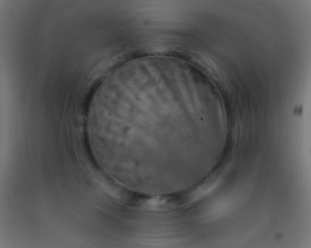 X0000092280366200709281250