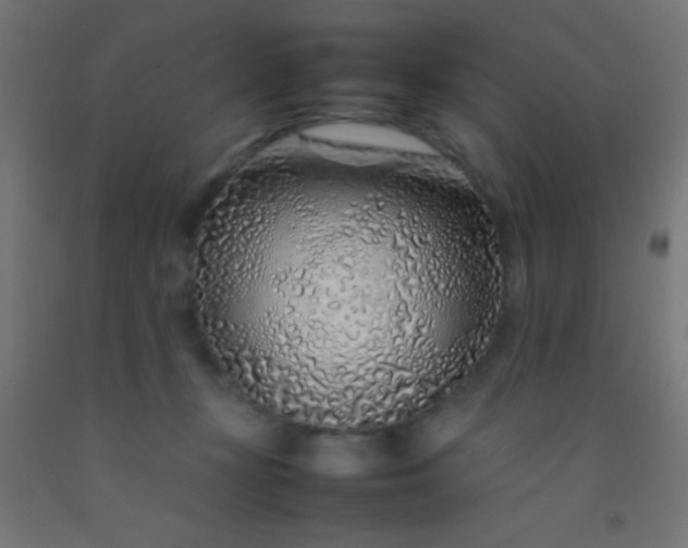 X0000092280367200709281250