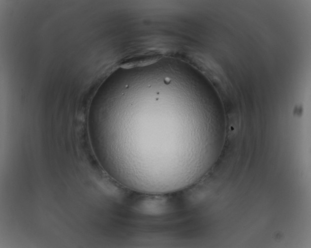 X0000092280369200709281250