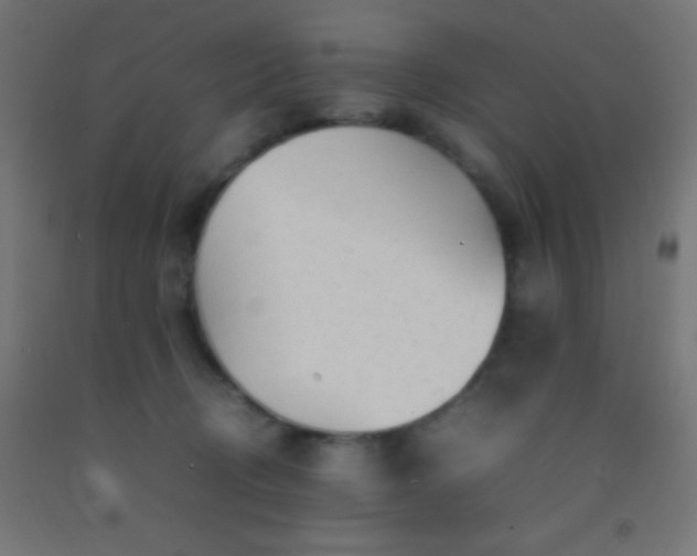 X0000092280370200709281250