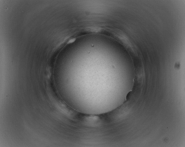 X0000092280374200709281250