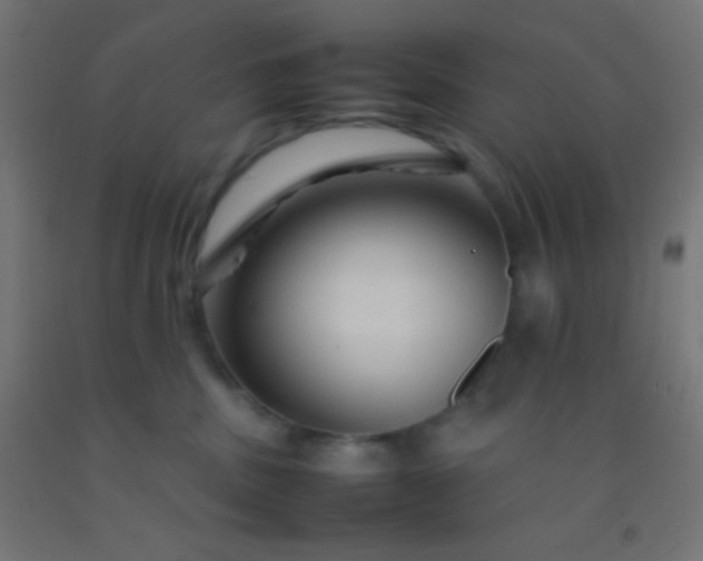 X0000092280379200709281250