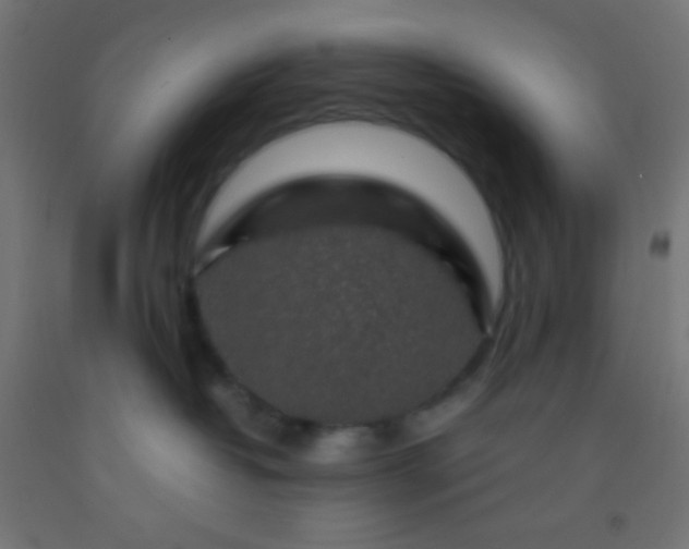 X0000092280382200709281250