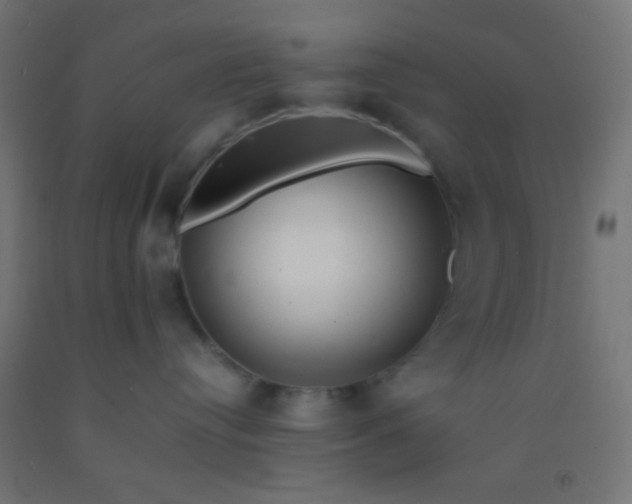 X0000092280384200709281250