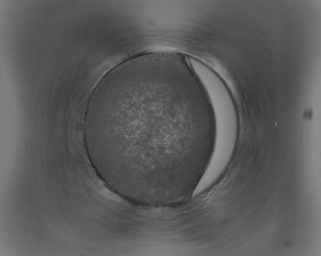 X0000092280385200709281250