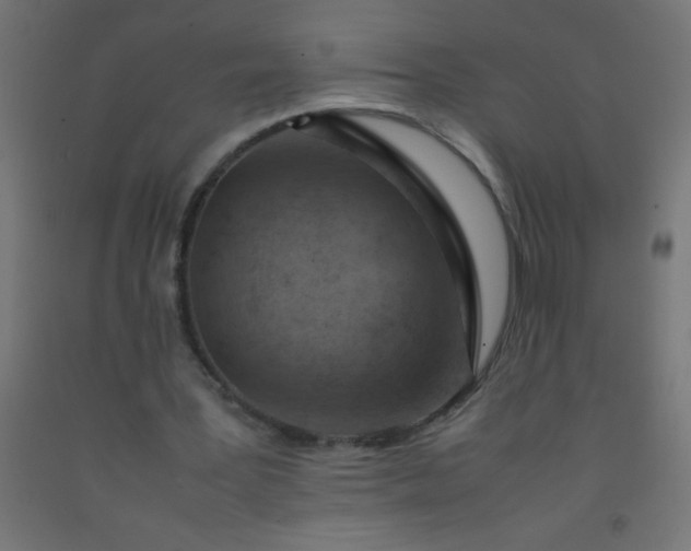 X0000092280387200709281250