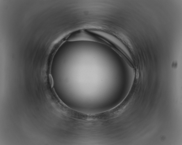 X0000092280388200709281250