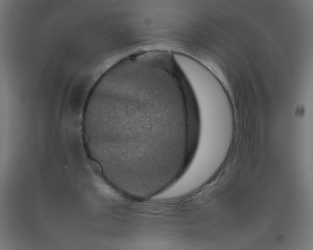 X0000092280389200709281250