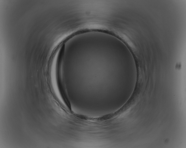 X0000092280391200709281250