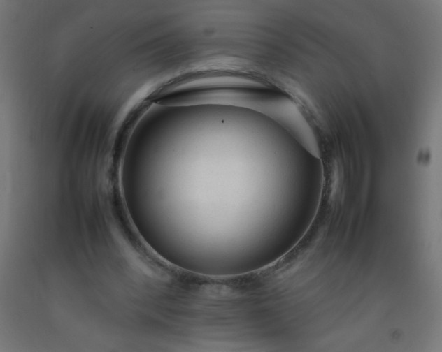 X0000092280392200709281250