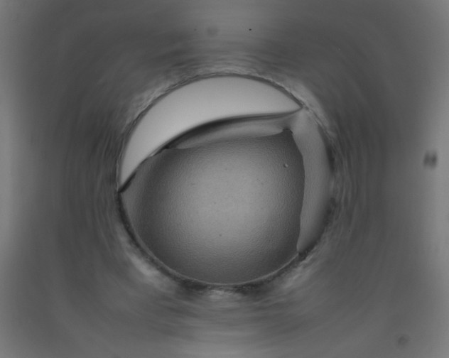 X0000092280393200709281250