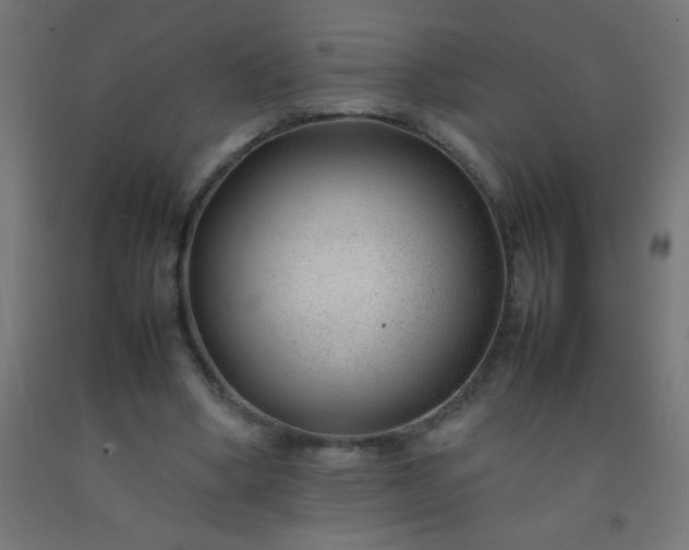 X0000092280394200709281250