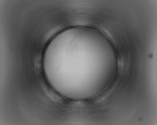 X0000092280396200709281250