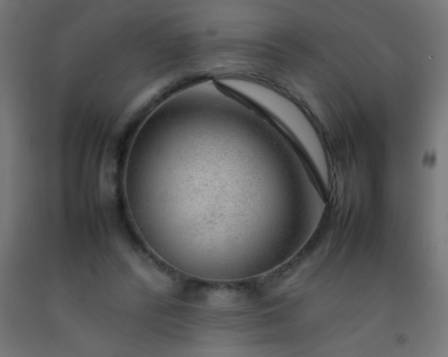 X0000092280400200709281250