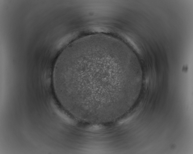 X0000092280402200709281250