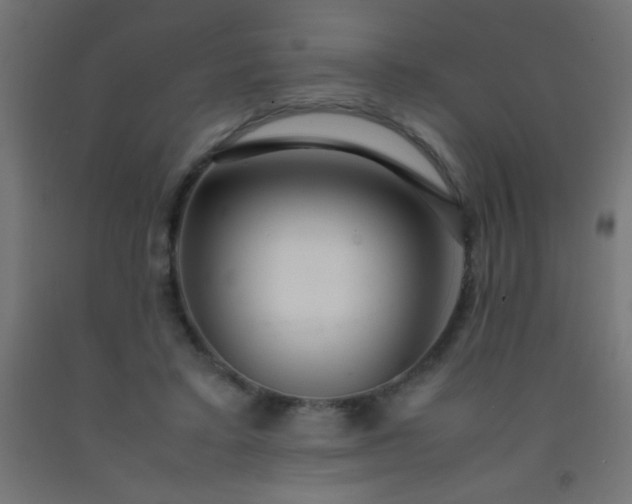 X0000092280403200709281249