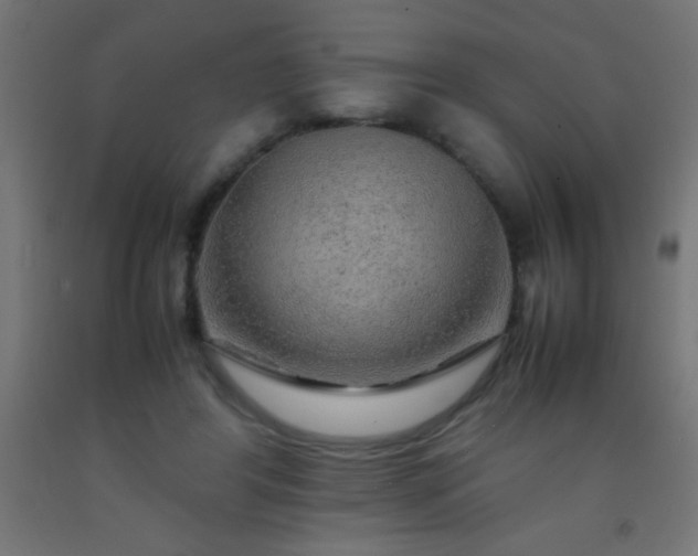 X0000092280404200709281249