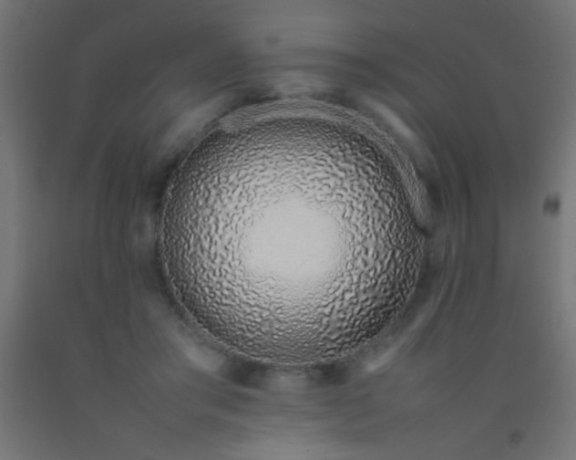 X0000092280405200709281249