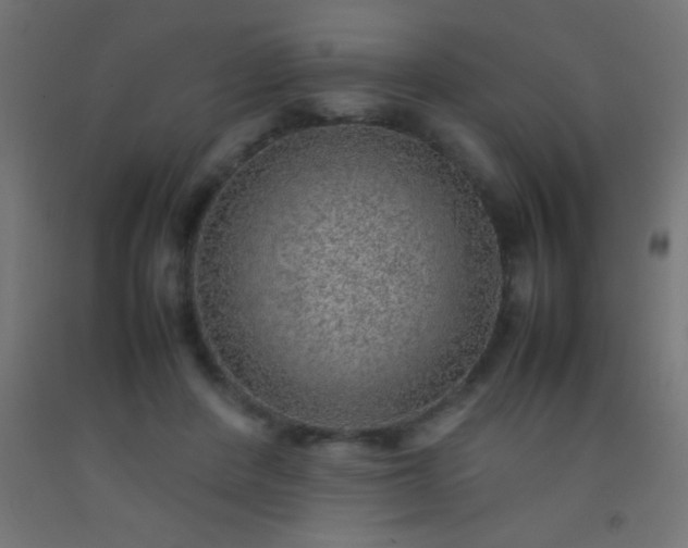 X0000092280408200709281249