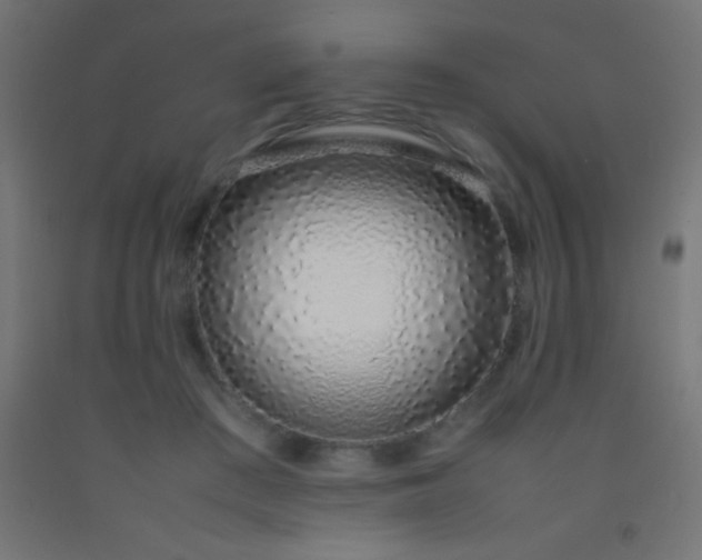 X0000092280409200709281249