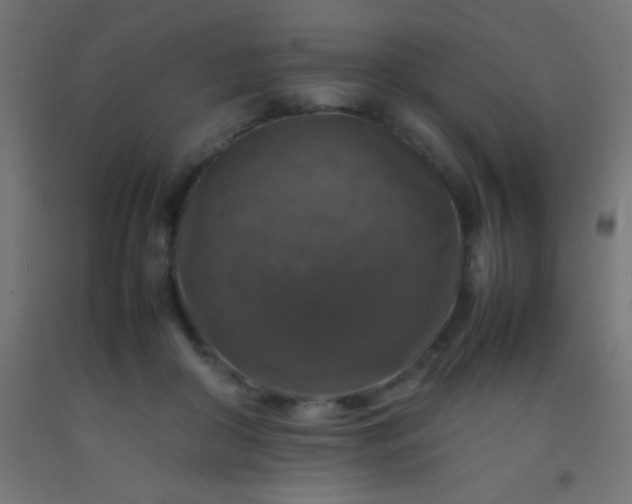 X0000092280410200709281249