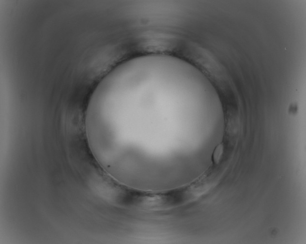 X0000092280411200709281249