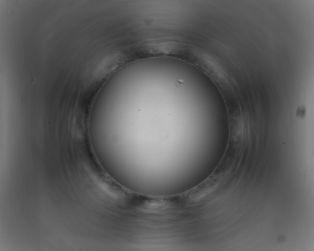 X0000092280414200709281249