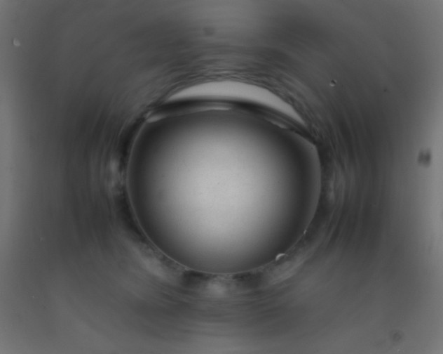 X0000092280420200709281249