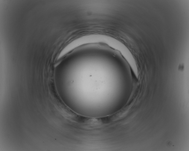 X0000092280421200709281249