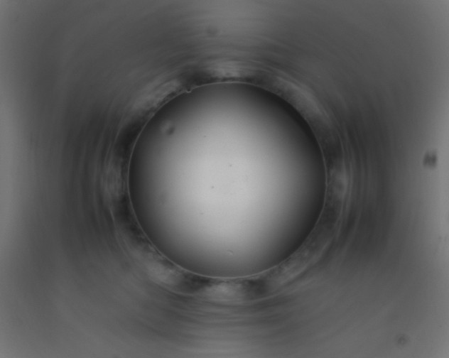 X0000092280422200709281249