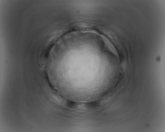 X0000092280423200709281249