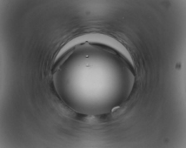 X0000092280425200709281249