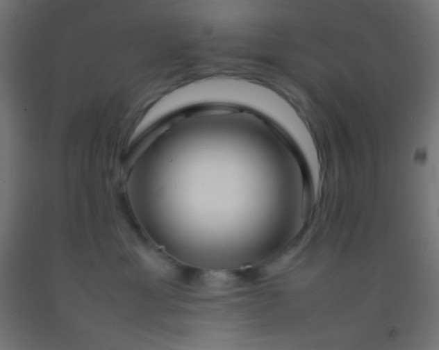 X0000092280429200709281249