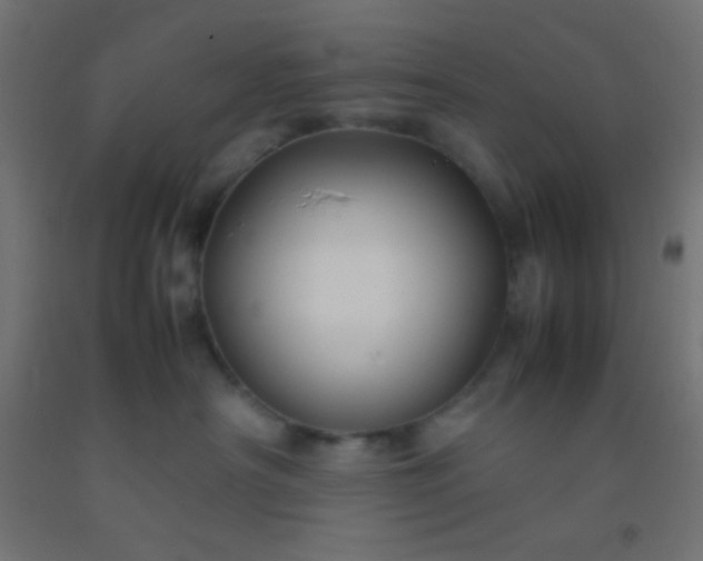 X0000092280430200709281249