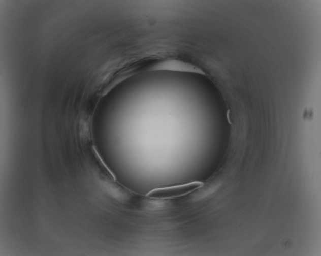 X0000092280432200709281249