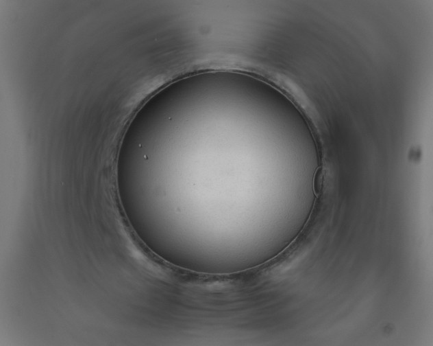 X0000092280433200709281248