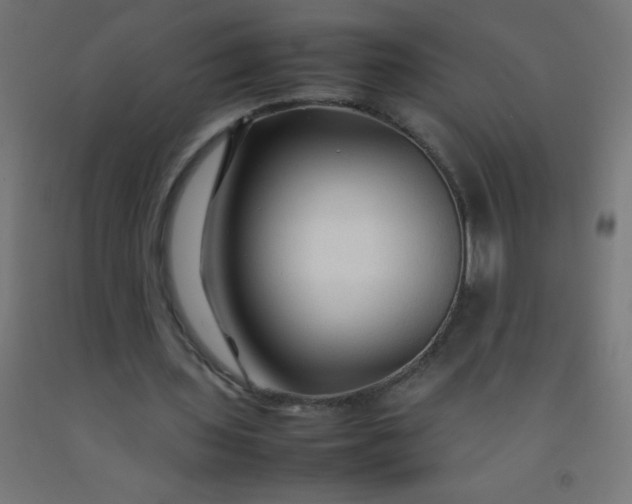 X0000092280435200709281248