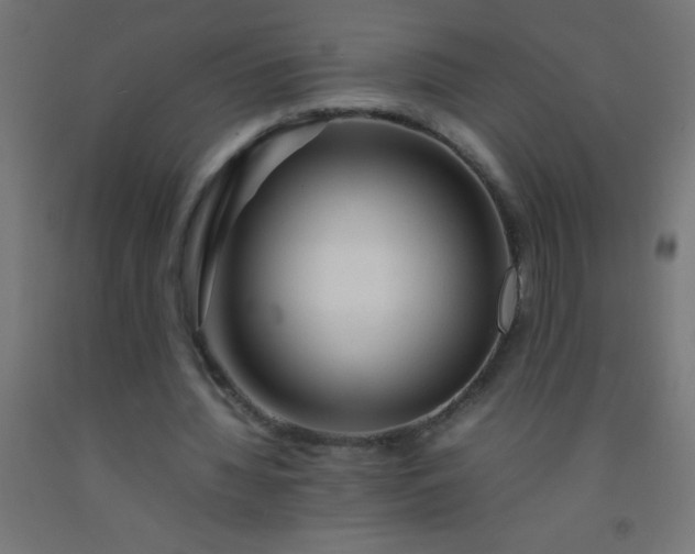 X0000092280436200709281248