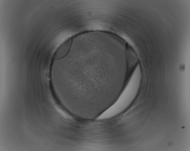 X0000092280438200709281248