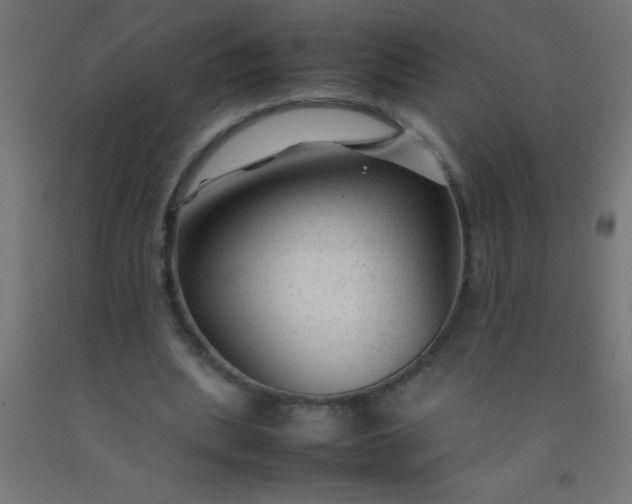 X0000092280439200709281248