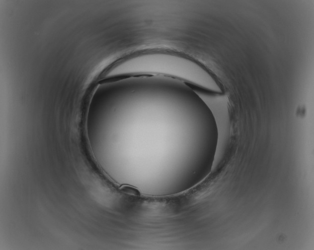 X0000092280440200709281248