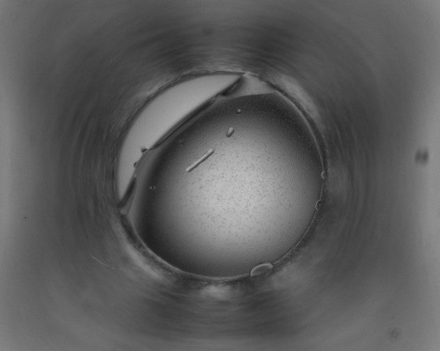 X0000092280441200709281248