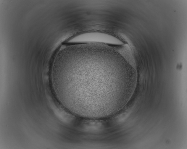 X0000092280443200709281248