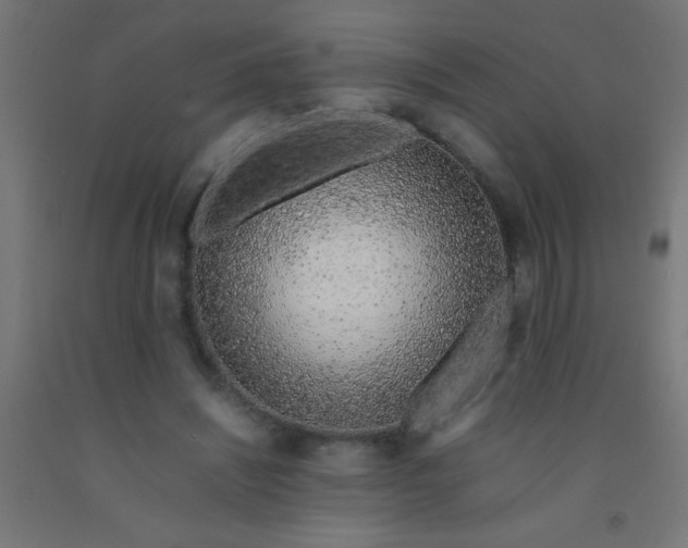 X0000092280444200709281248