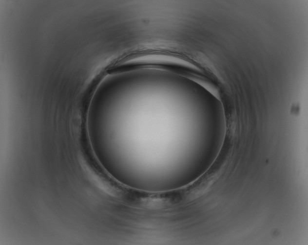 X0000092280448200709281249