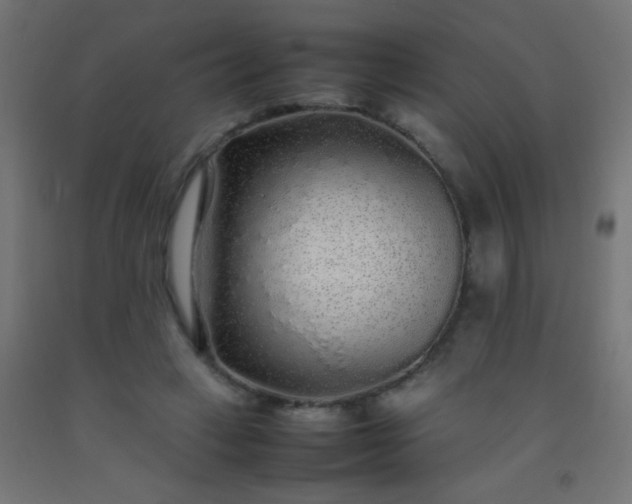 X0000092280449200709281249